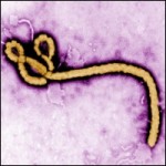ebola-virus ebola-virus